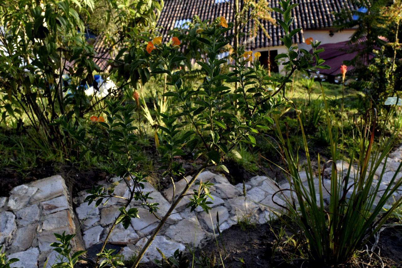 El Pedregal Sopo Bed & Breakfast Eksteriør bilde