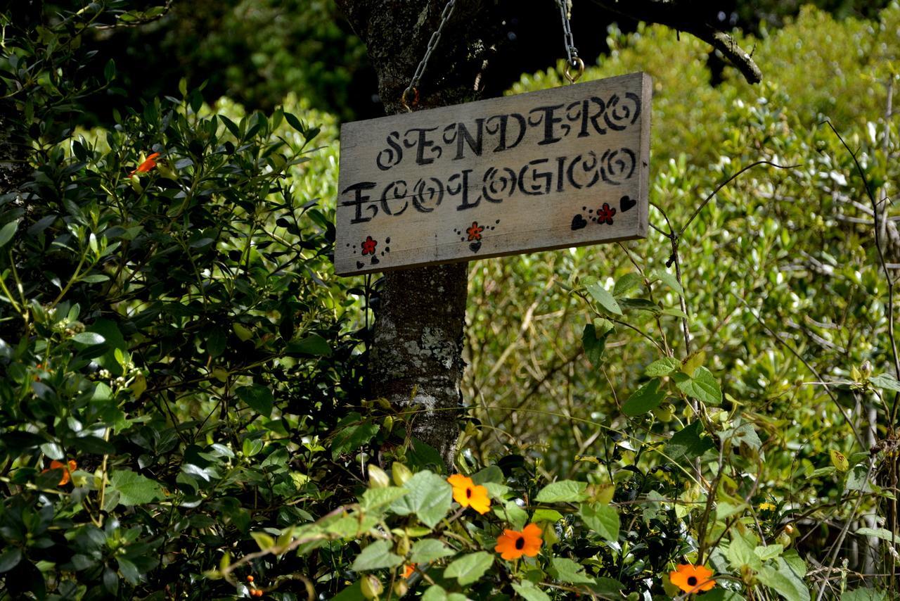 El Pedregal Sopo Bed & Breakfast Eksteriør bilde