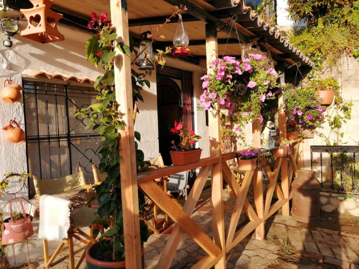 El Pedregal Sopo Bed & Breakfast Eksteriør bilde